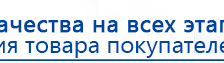 СКЭНАР-1-НТ (исполнение 02.2) Скэнар Оптима купить в Белогорске, Аппараты Скэнар купить в Белогорске, Дэнас официальный сайт denasolm.ru